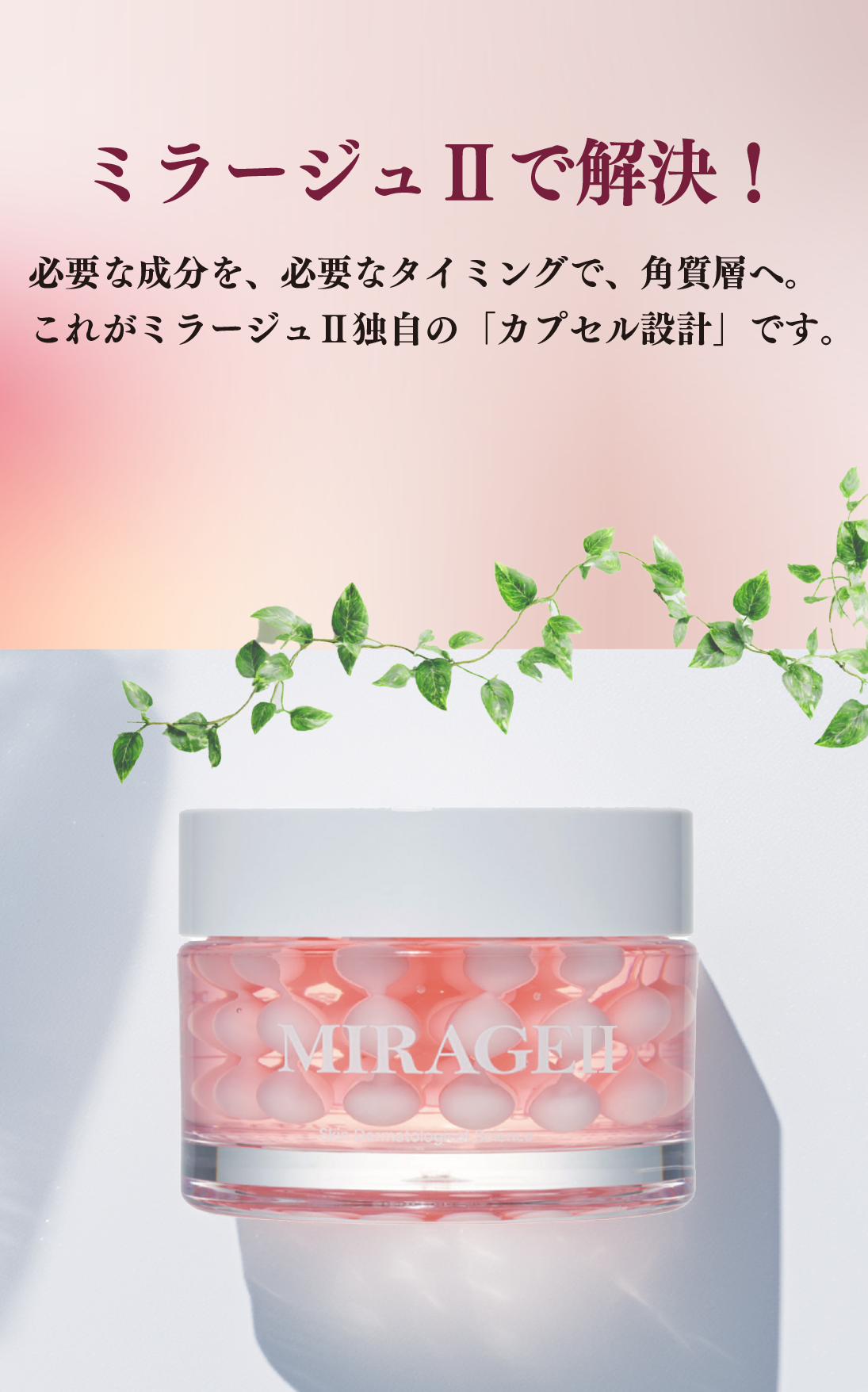 ミラージュⅡで解決!