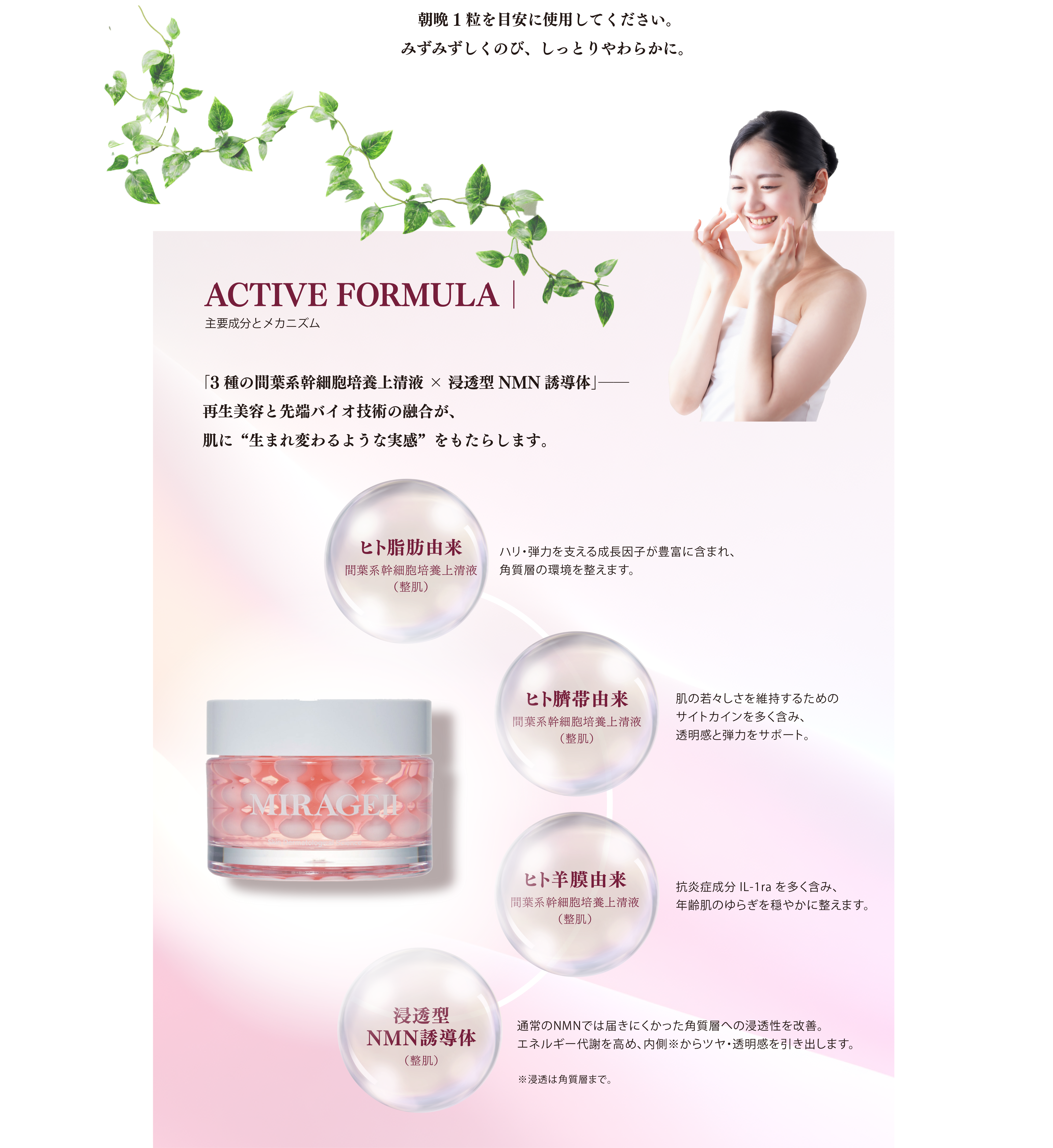 ACTIVE FORMULA|主要成分とメカニズム